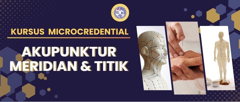 Kursus akupunktur meridian dan titik pada meridian umum